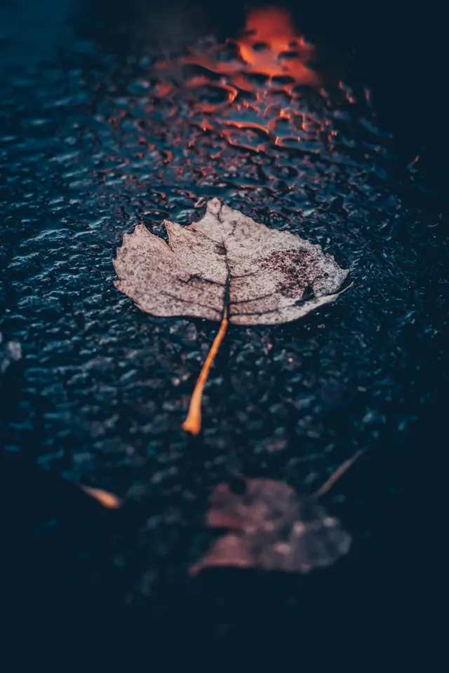 Clima